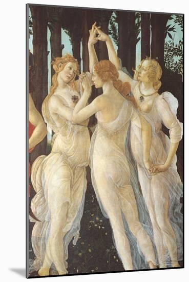 Primavera-Sandro Botticelli-Mounted Giclee Print