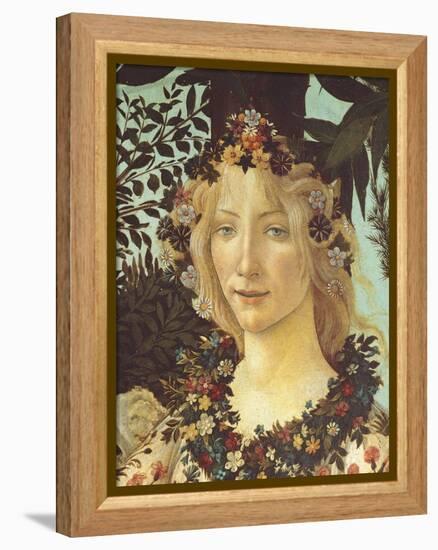 Primavera-Sandro Botticelli-Framed Premier Image Canvas