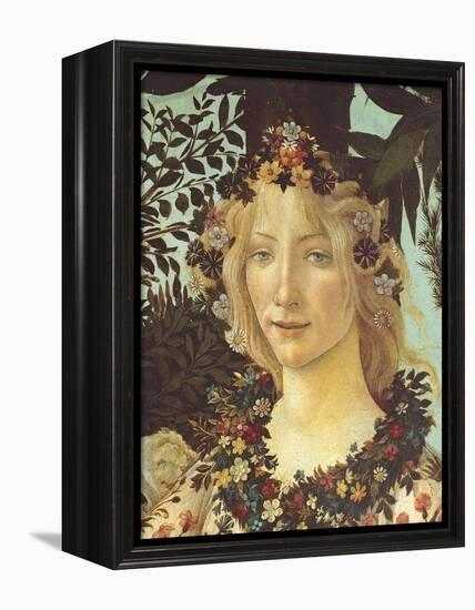 Primavera-Sandro Botticelli-Framed Premier Image Canvas