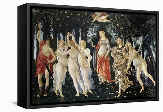 Primavera-Sandro Botticelli-Framed Stretched Canvas