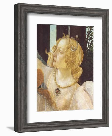 Primavera-Sandro Botticelli-Framed Giclee Print