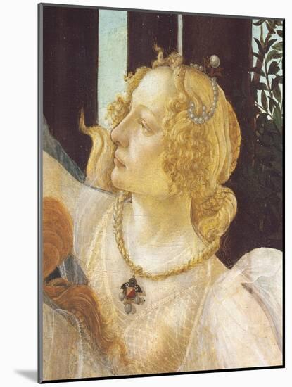 Primavera-Sandro Botticelli-Mounted Giclee Print