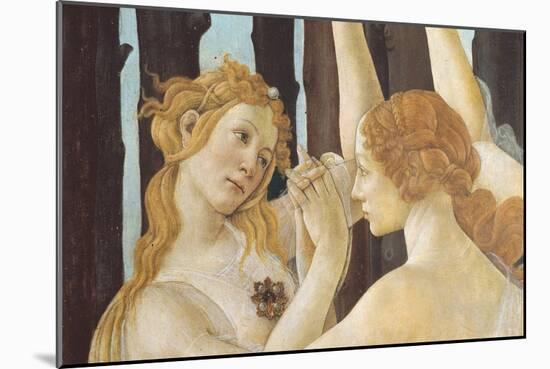 Primavera-Sandro Botticelli-Mounted Giclee Print