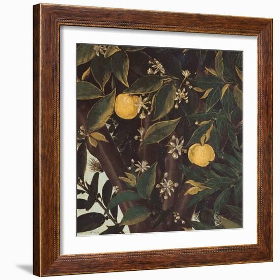 Primavera-Sandro Botticelli-Framed Giclee Print