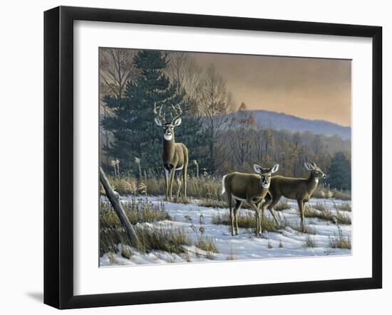 Prime Time - Whitetail Deer-Wilhelm Goebel-Framed Giclee Print