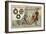 Primitive Coins of the Gauls, 150 BC-null-Framed Giclee Print