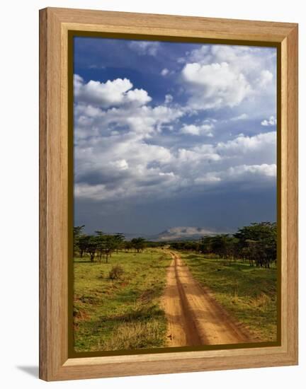 Primitive dirt road across the northern Serengeti, Serengeti National Park, Tanzania-Adam Jones-Framed Premier Image Canvas