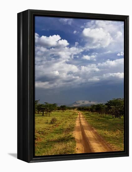 Primitive dirt road across the northern Serengeti, Serengeti National Park, Tanzania-Adam Jones-Framed Premier Image Canvas