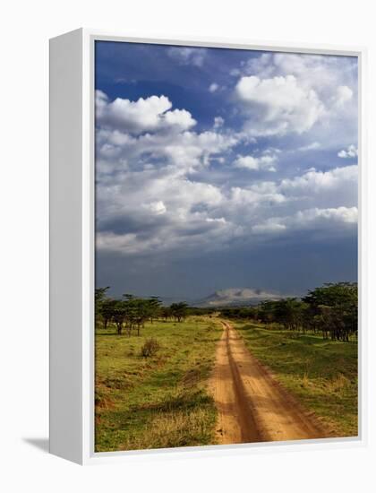 Primitive dirt road across the northern Serengeti, Serengeti National Park, Tanzania-Adam Jones-Framed Premier Image Canvas