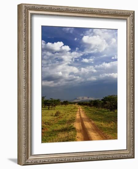 Primitive dirt road across the northern Serengeti, Serengeti National Park, Tanzania-Adam Jones-Framed Photographic Print