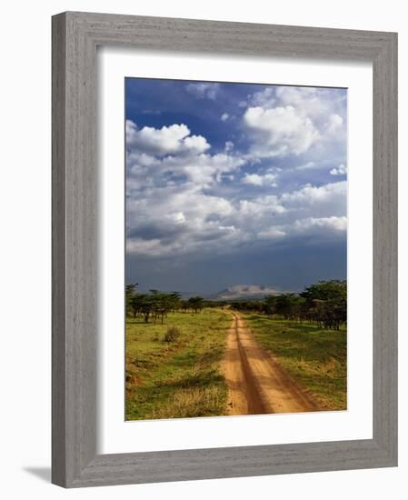 Primitive dirt road across the northern Serengeti, Serengeti National Park, Tanzania-Adam Jones-Framed Photographic Print