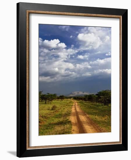 Primitive dirt road across the northern Serengeti, Serengeti National Park, Tanzania-Adam Jones-Framed Photographic Print