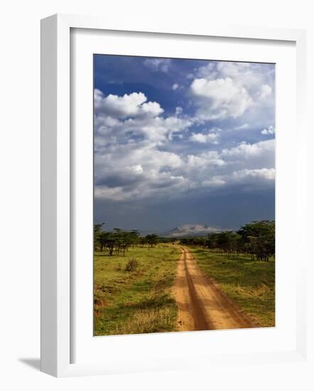 Primitive dirt road across the northern Serengeti, Serengeti National Park, Tanzania-Adam Jones-Framed Photographic Print