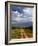 Primitive dirt road across the northern Serengeti, Serengeti National Park, Tanzania-Adam Jones-Framed Photographic Print