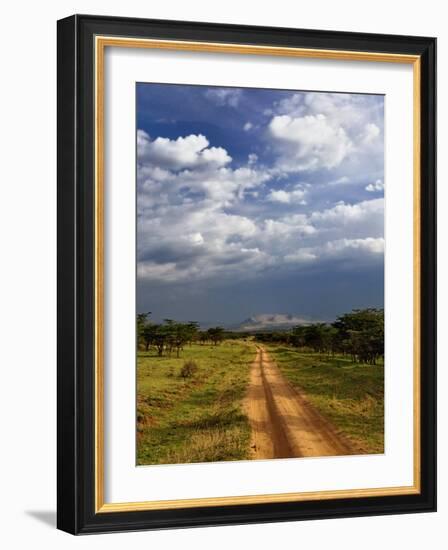 Primitive dirt road across the northern Serengeti, Serengeti National Park, Tanzania-Adam Jones-Framed Photographic Print