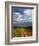 Primitive dirt road across the northern Serengeti, Serengeti National Park, Tanzania-Adam Jones-Framed Photographic Print