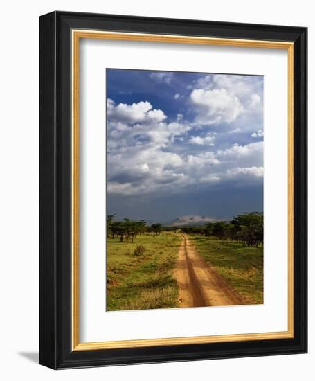 Primitive dirt road across the northern Serengeti, Serengeti National Park, Tanzania-Adam Jones-Framed Photographic Print