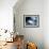 Primordial Quasar, Artwork-null-Framed Photographic Print displayed on a wall