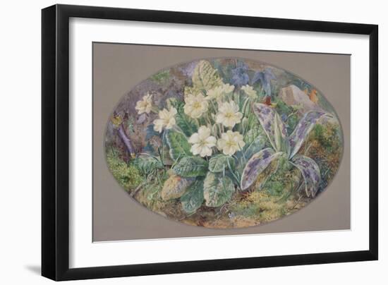 Primrose and Orchid-Thomas Edwin Mostyn-Framed Giclee Print