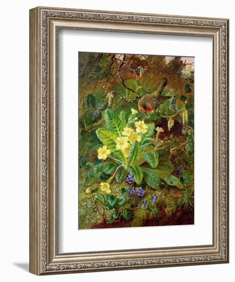 Primrose and Robin-William John Wainwright-Framed Giclee Print