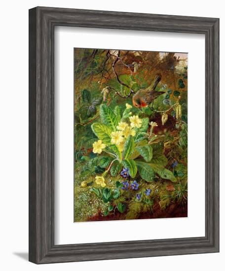 Primrose and Robin-William John Wainwright-Framed Giclee Print