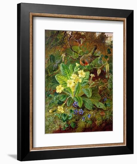 Primrose and Robin-William John Wainwright-Framed Giclee Print