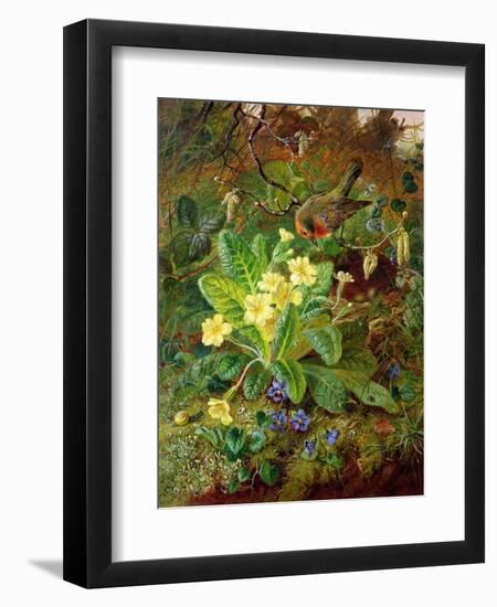 Primrose and Robin-William John Wainwright-Framed Giclee Print