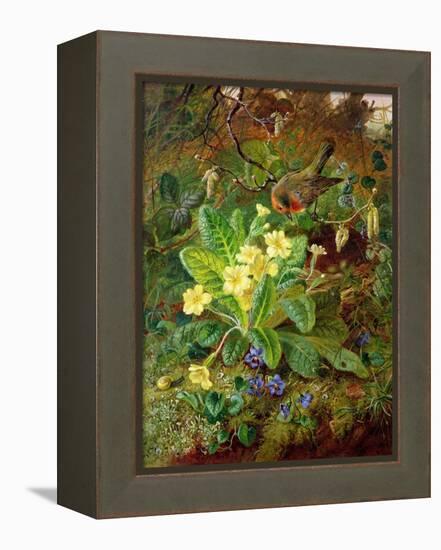 Primrose and Robin-William John Wainwright-Framed Premier Image Canvas