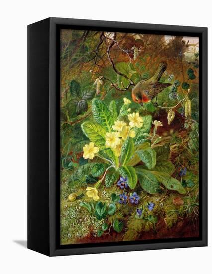 Primrose and Robin-William John Wainwright-Framed Premier Image Canvas