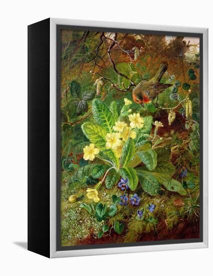 Primrose and Robin-William John Wainwright-Framed Premier Image Canvas