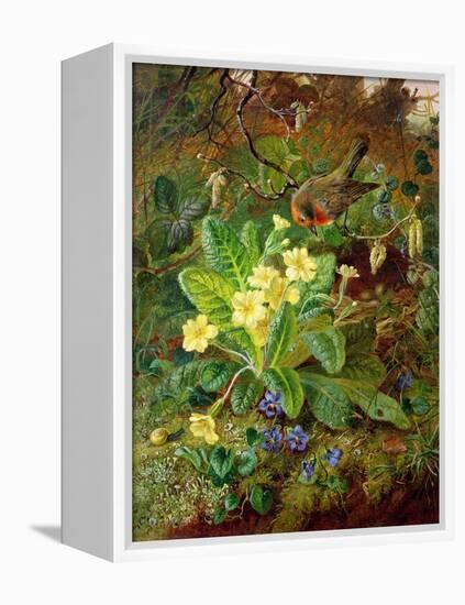 Primrose and Robin-William John Wainwright-Framed Premier Image Canvas