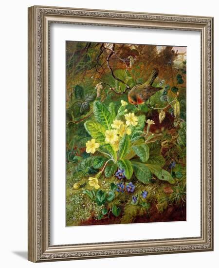 Primrose and Robin-William John Wainwright-Framed Giclee Print