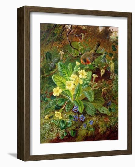 Primrose and Robin-William John Wainwright-Framed Giclee Print