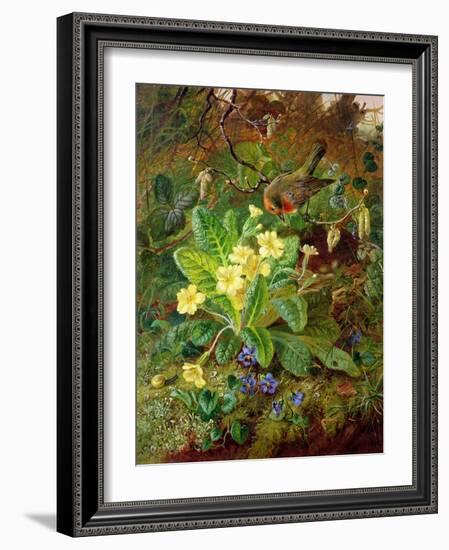 Primrose and Robin-William John Wainwright-Framed Giclee Print