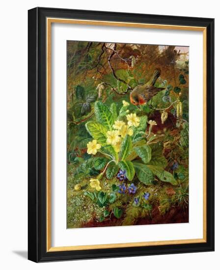 Primrose and Robin-William John Wainwright-Framed Giclee Print