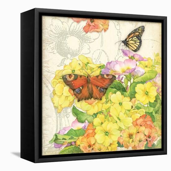 Primrose & Butterflies-Julie Paton-Framed Stretched Canvas