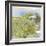 Primrose Cottage-Ken Hurd-Framed Giclee Print