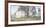 Primrose Farm-Ray Hendershot-Framed Art Print