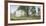 Primrose Farm-Ray Hendershot-Framed Giclee Print