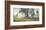 Primrose Farm-Ray Hendershot-Framed Art Print