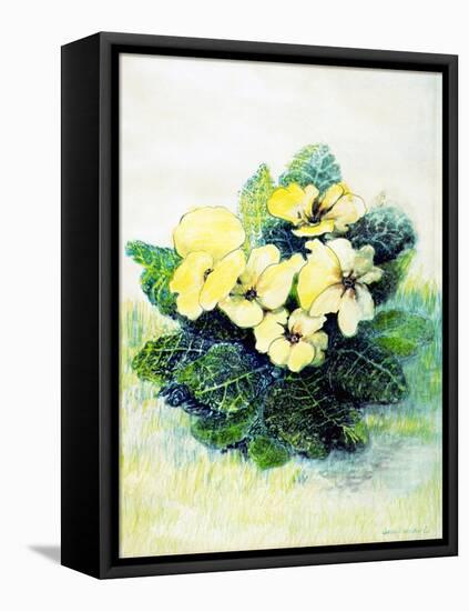 Primrose Pale Yellow, 2005-Joan Thewsey-Framed Premier Image Canvas