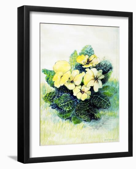 Primrose Pale Yellow, 2005-Joan Thewsey-Framed Giclee Print