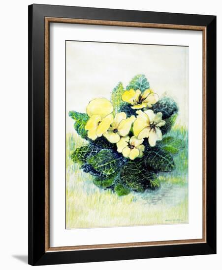 Primrose Pale Yellow, 2005-Joan Thewsey-Framed Giclee Print