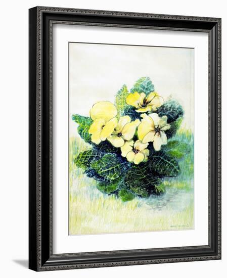 Primrose Pale Yellow, 2005-Joan Thewsey-Framed Giclee Print