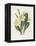 Primrose-Gwendolyn Babbitt-Framed Stretched Canvas