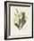 Primrose-Gwendolyn Babbitt-Framed Art Print