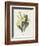 Primrose-Gwendolyn Babbitt-Framed Art Print