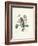 Primrose-Pierre-Joseph Redouté-Framed Giclee Print