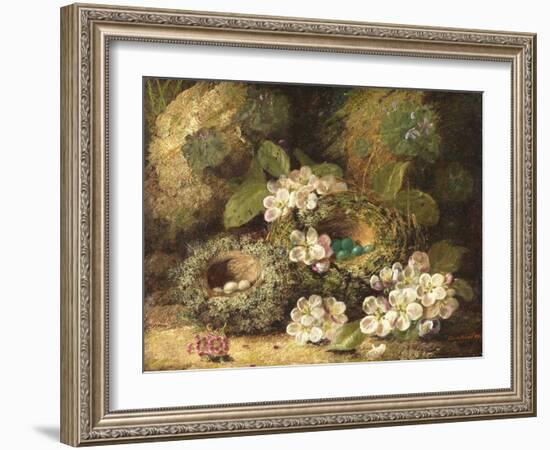 Primroses and Bird's Nests on a Mossy Bank, 1882-Oliver Clare-Framed Giclee Print