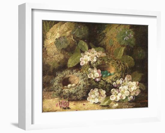 Primroses and Bird's Nests on a Mossy Bank, 1882-Oliver Clare-Framed Giclee Print